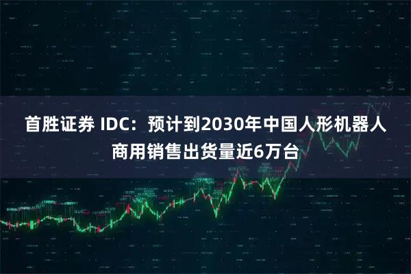 首胜证券 IDC：预计到2030年中国人形机器人商用销售出货量近6万台