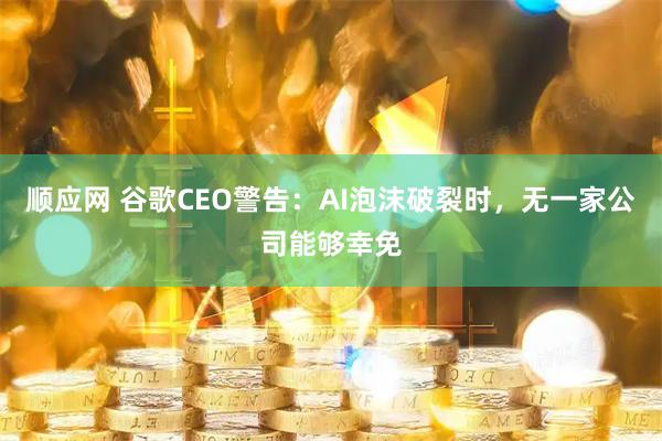 顺应网 谷歌CEO警告：AI泡沫破裂时，无一家公司能够幸免